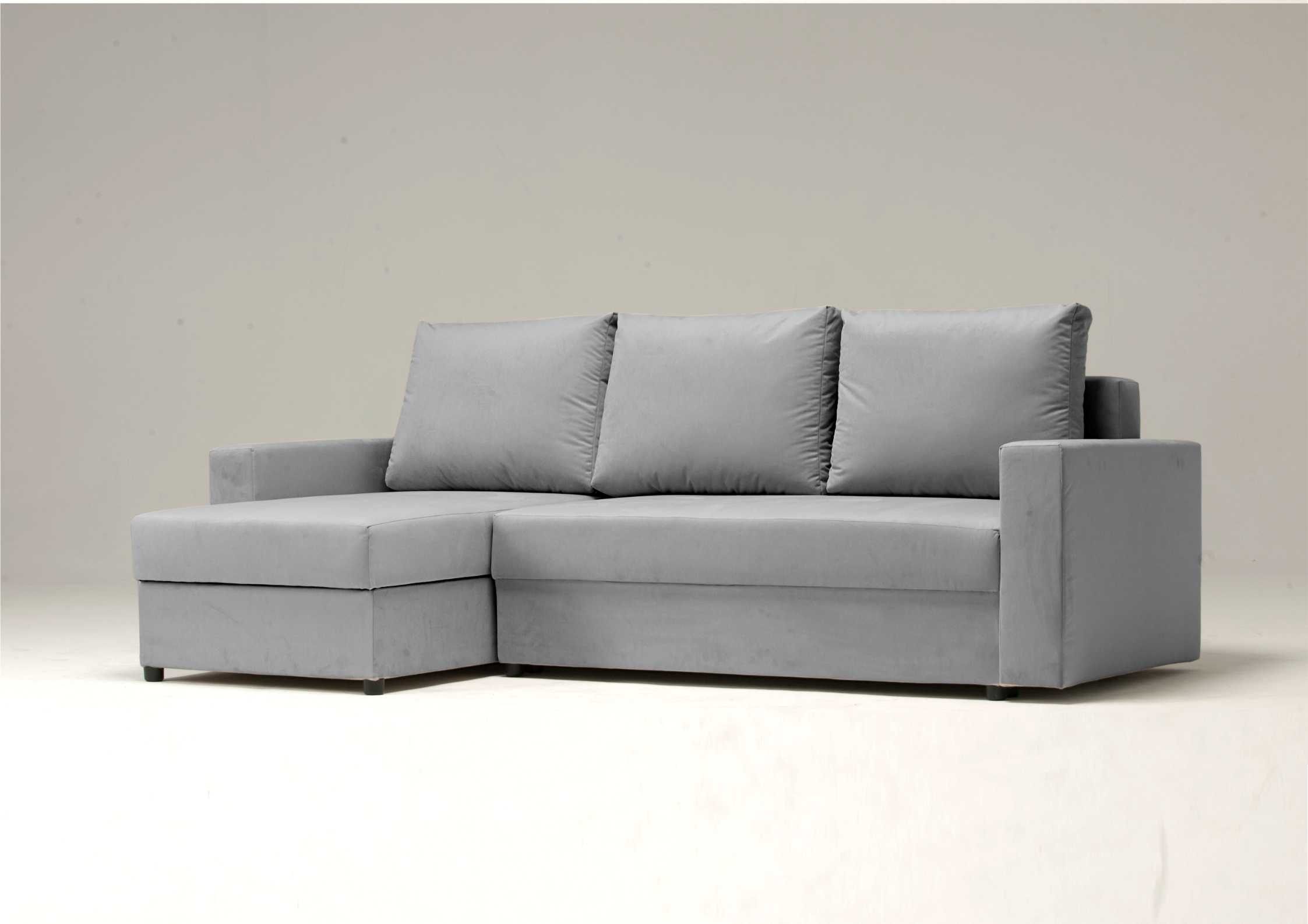 Zwykła szara rogówka